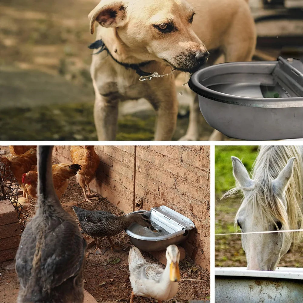 Dispensateur en eau automatique pour l'eau de chien, bol à boire en acier inoxydable pour le bétail de la ferme mouton de chèvre (remplissage automatique)