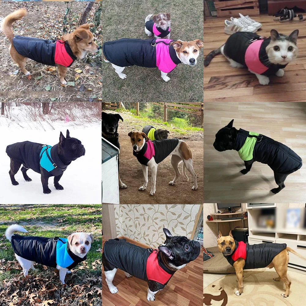 Hiver Warm Big Dog Clothes Coat pour petits chiens moyens chats imperméables Jacket Puppy Gift Zipper D-Ring Labrador Pug Pet Sautpuiseurs