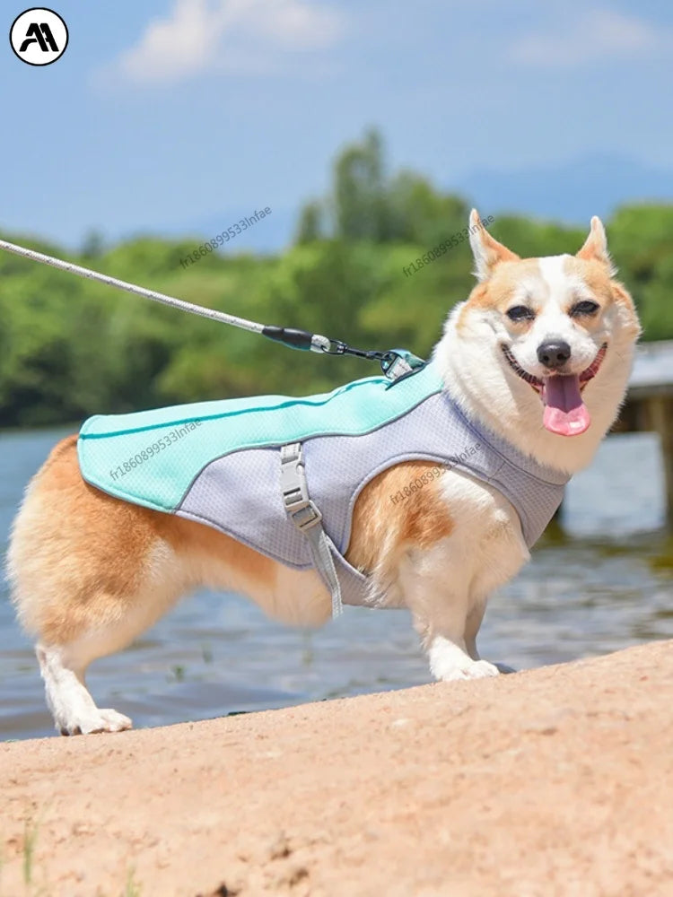 Veste de refroidissement de vif de gilet pour chien pour chien pour chien de marche, camping en plein air et entraînement de chasse