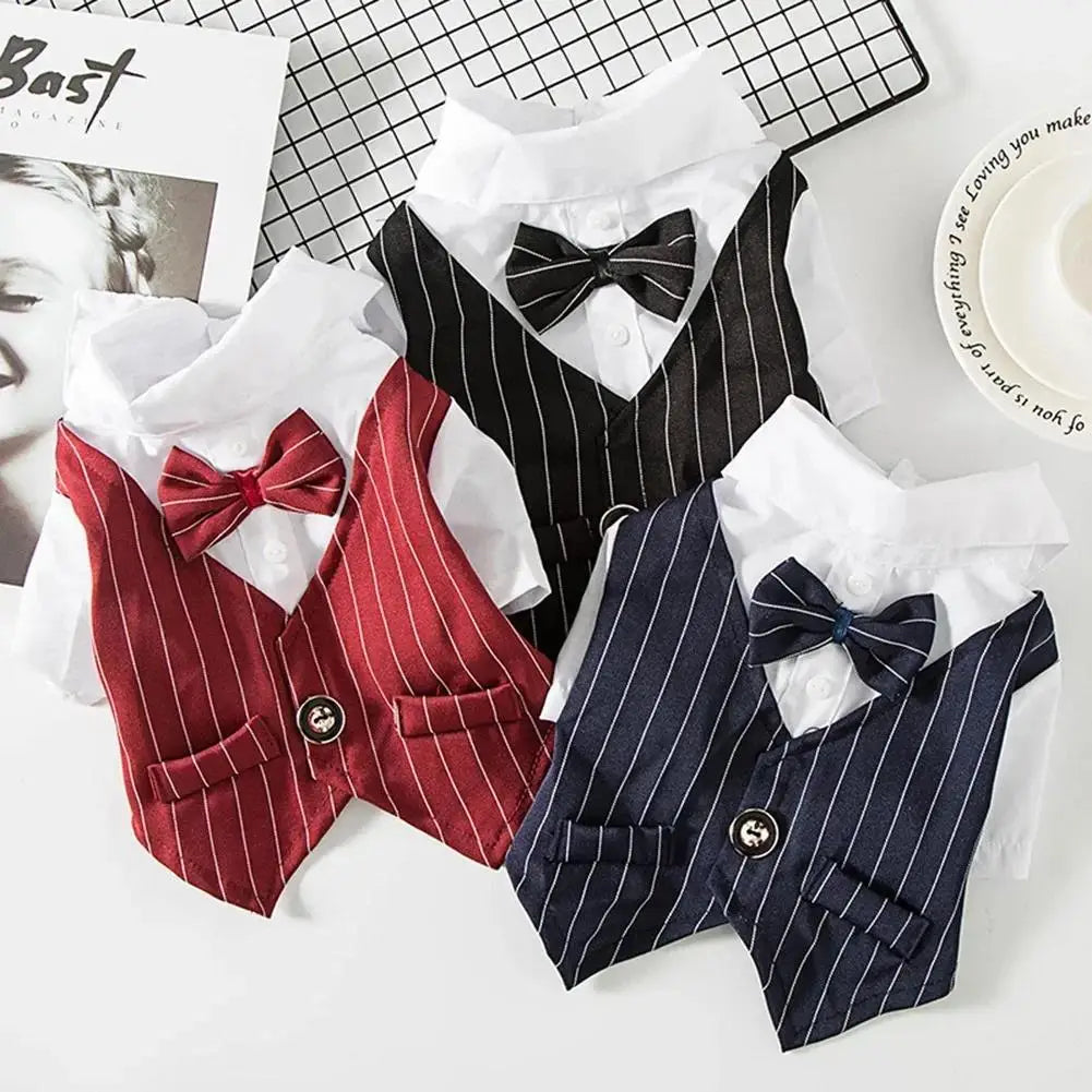 Mentleman de style anglais costume de chiot avec cravate pour les occasions formelles quatre saisons mariage pour animaux de compagnie photo en peluche