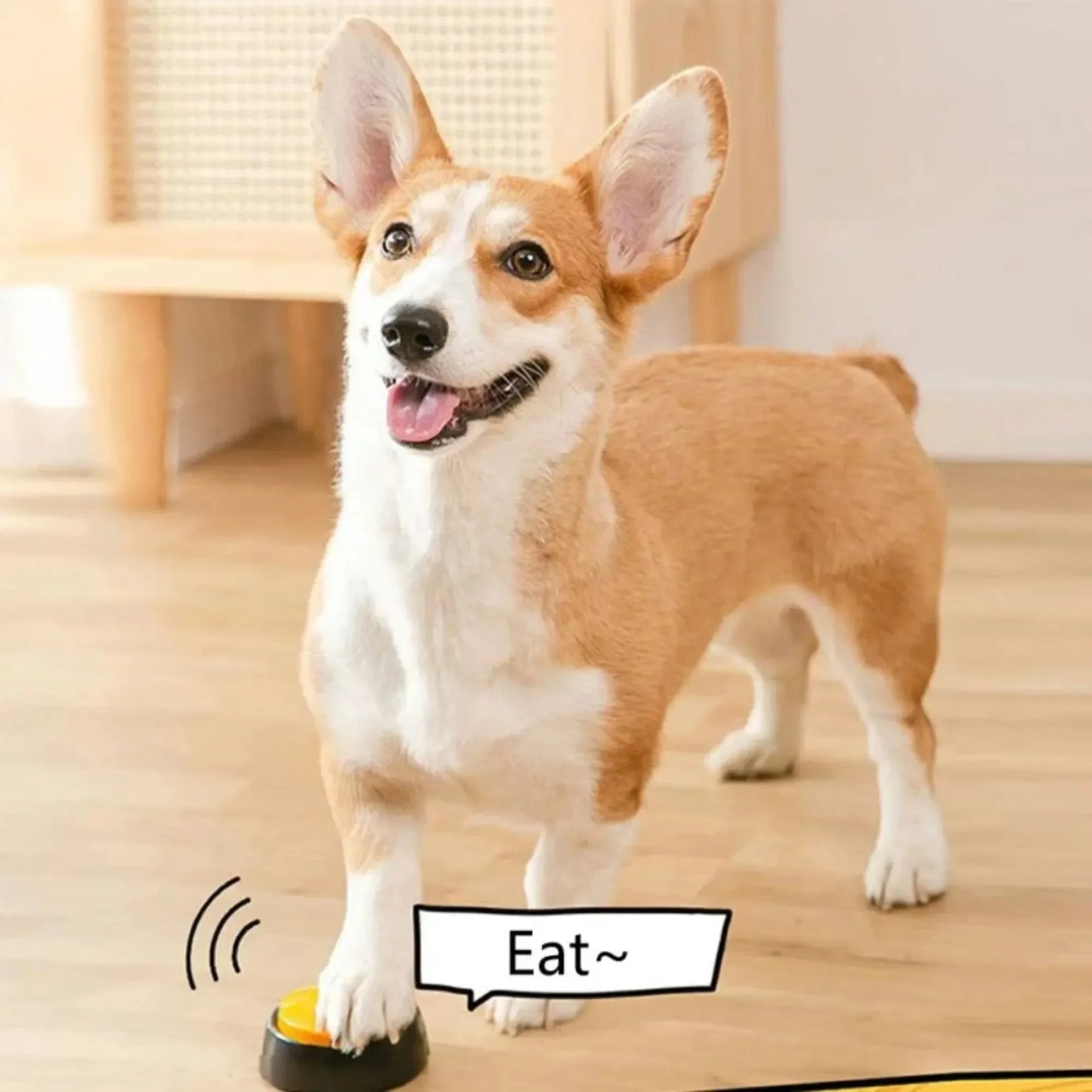 Boutons de communication de chien bouton d'enregistrement vocal pour le buzzer de formation des animaux