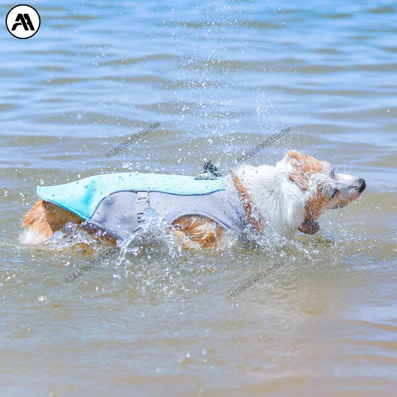 Veste de refroidissement de vif de gilet pour chien pour chien pour chien de marche, camping en plein air et entraînement de chasse
