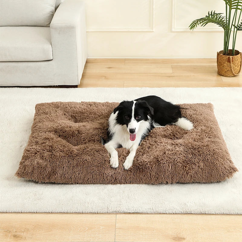 Lits de chien doux maison mous longue peluche meilleure lit de chien de compagnie pour chiens panier de panier de compagnie