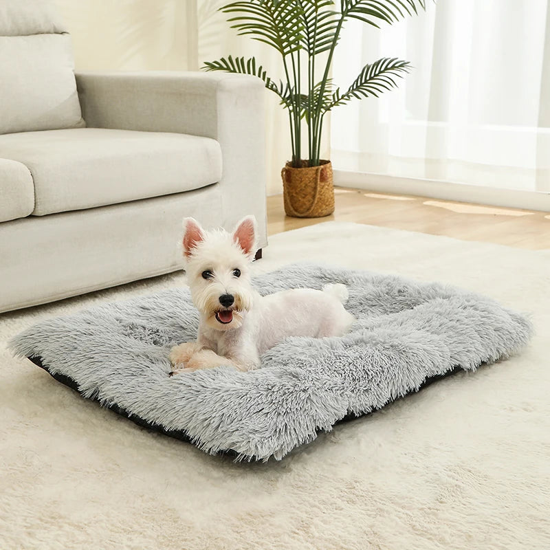 Lits de chien doux maison mous longue peluche meilleure lit de chien de compagnie pour chiens panier de panier de compagnie