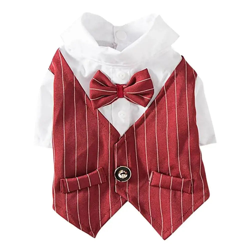 Mentleman de style anglais costume de chiot avec cravate pour les occasions formelles quatre saisons mariage pour animaux de compagnie photo en peluche