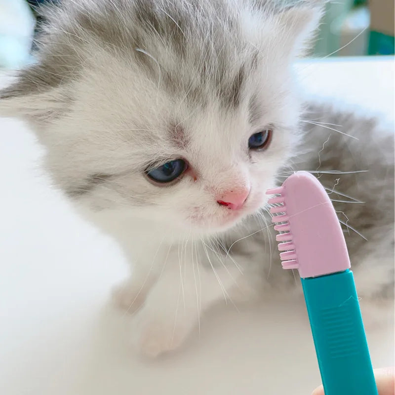 Chats de chats aliments de nettoyage de animal de compagnie Soft Eye Frot à main