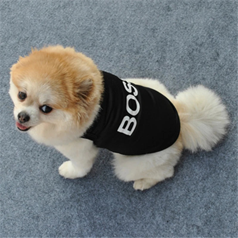 Vêtements de sécurité pour chiens Vêtements d'animaux de compagnie Summer pour les petits chiens Chihuahua Yorkshire chiot chats à bas prix PETS T-shirt costume