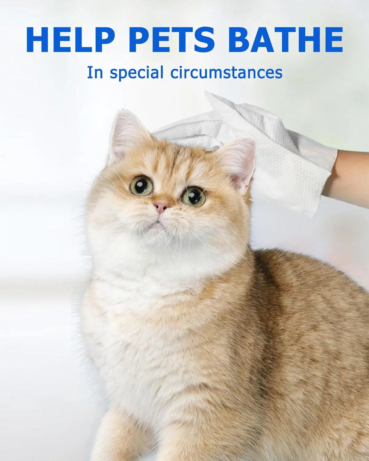 Glants de lingettes de nettoyage pour chien et chat, lingettes de baignade pour animaux