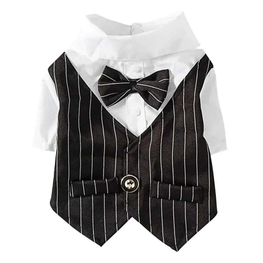 Mentleman de style anglais costume de chiot avec cravate pour les occasions formelles quatre saisons mariage pour animaux de compagnie photo en peluche