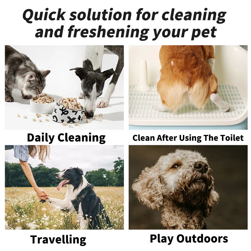 10pcs animaux lingettes Formule à eau pure jetable Chienne de soins pour animaux de compagnie et le nettoyage de la santé des chats désodorisant les lingettes à usage unique