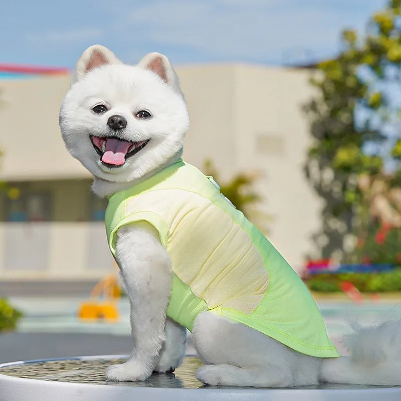 Refroidissement glace Silk Summer Chog Clothing Outdoor UV Protection Pet Cat Cat T-shirt Salles de sports secs rapides pour petit chiot moyen