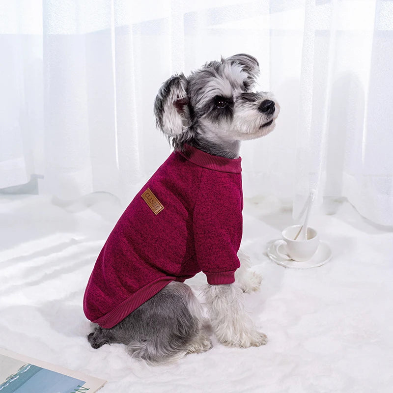 Vêtements pour chiens d'hiver pour les petits chiens chiens chauds Chihuahua manteau schnauzer cug vêtements swetshirts décontractés pour chats de chien Accès pour animaux de compagnie