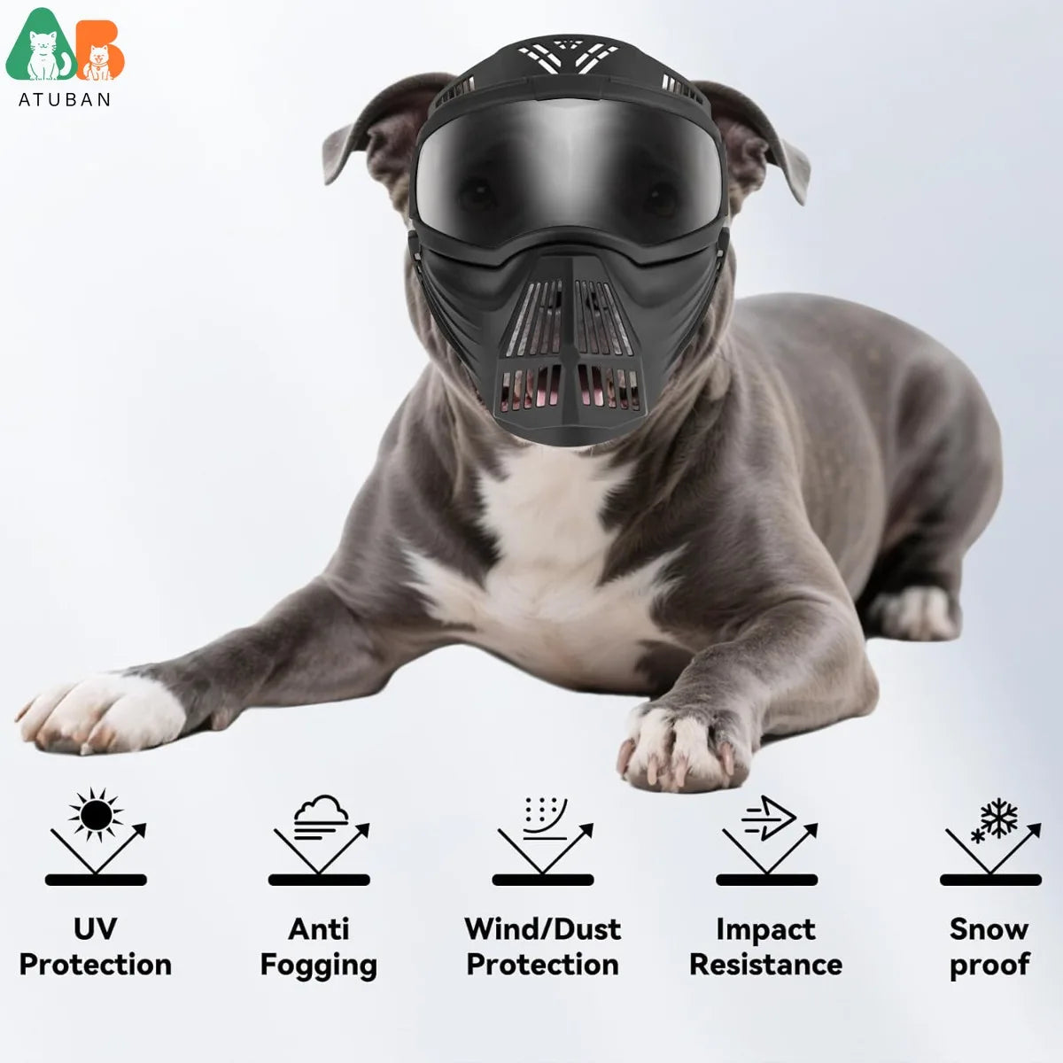 Atuban Pro Dog Goggles Grande race, protection complète, lunettes de soleil tactiques, protection contre les chiens extérieurs, anti-UV anti-Fog.