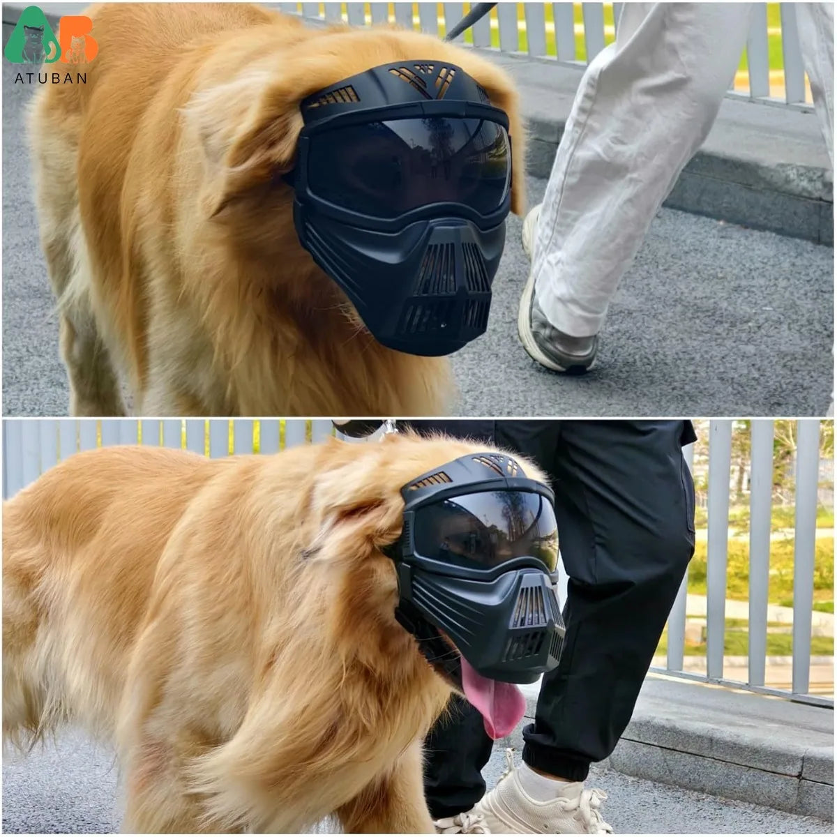 Atuban Pro Dog Goggles Grande race, protection complète, lunettes de soleil tactiques, protection contre les chiens extérieurs, anti-UV anti-Fog.