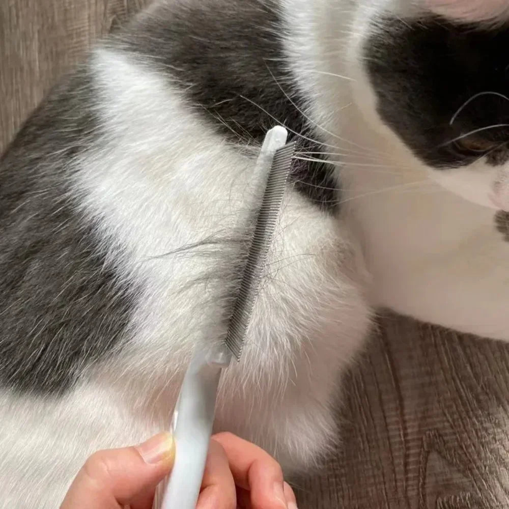 Pet toiletage aux puces peigne