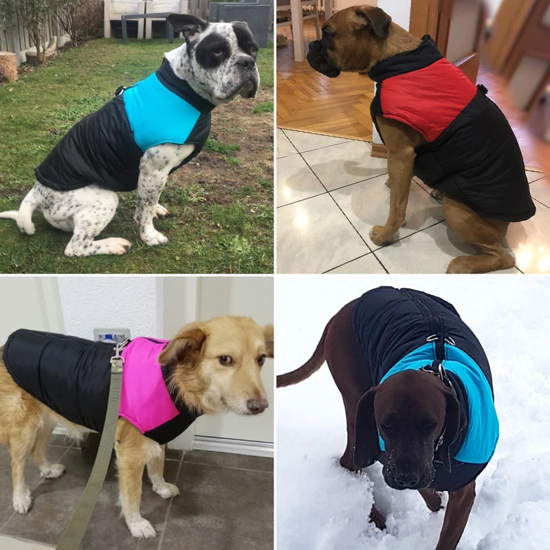 Vestes de gros chien pour animaux de compagnie chauds hiver