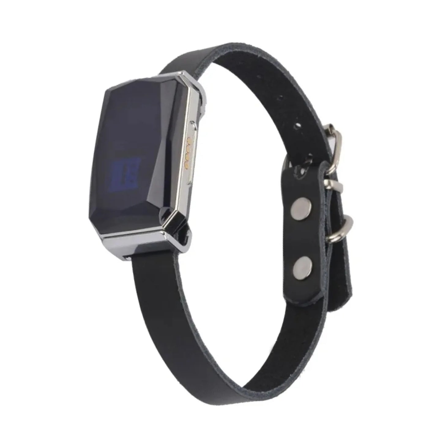 Smart GPS Pet Tracker Collar en temps réel Suivi 5m Précision IP67 ALERTES GÉOFECTES DE 10 jours imperméables de 10 jours chiens Positionnement