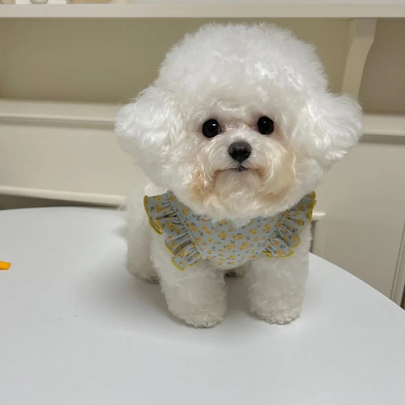 Bowknot Floral Flying Sleeve Verte Chien Vêtements Cat Universal Teddy Summer Minage mince et automne Vêtements