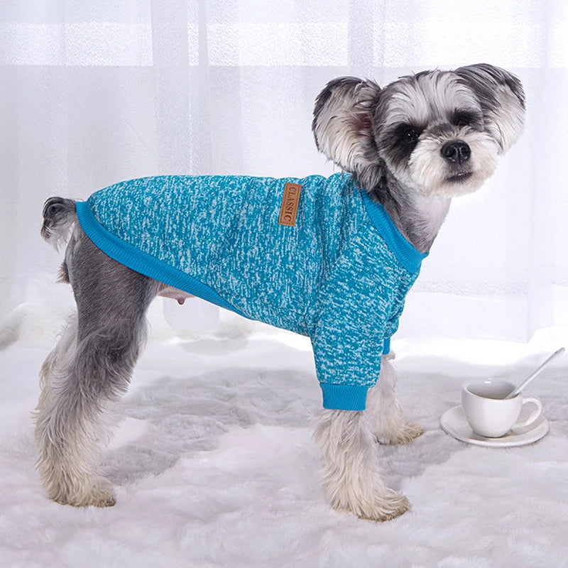 Vêtements pour chiens d'hiver pour les petits chiens chiens chauds Chihuahua manteau schnauzer cug vêtements swetshirts décontractés pour chats de chien Accès pour animaux de compagnie