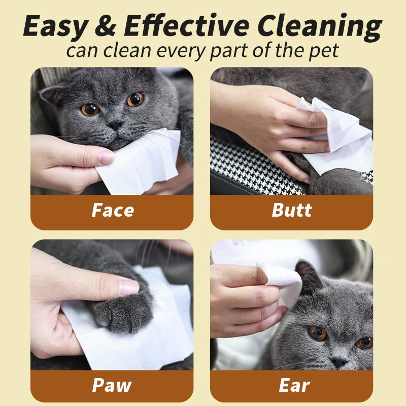 10pcs animaux lingettes Formule à eau pure jetable Chienne de soins pour animaux de compagnie et le nettoyage de la santé des chats désodorisant les lingettes à usage unique