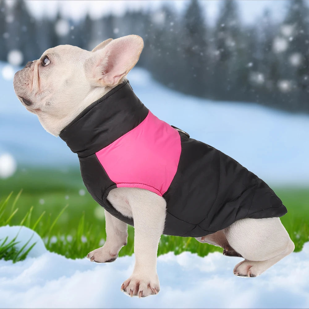 Hiver Warm Big Dog Clothes Coat pour petits chiens moyens chats imperméables Jacket Puppy Gift Zipper D-Ring Labrador Pug Pet Sautpuiseurs