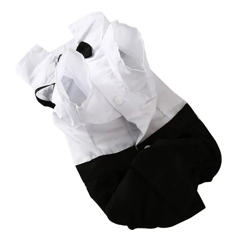 Mentleman de style anglais costume de chiot avec cravate pour les occasions formelles quatre saisons mariage pour animaux de compagnie photo en peluche