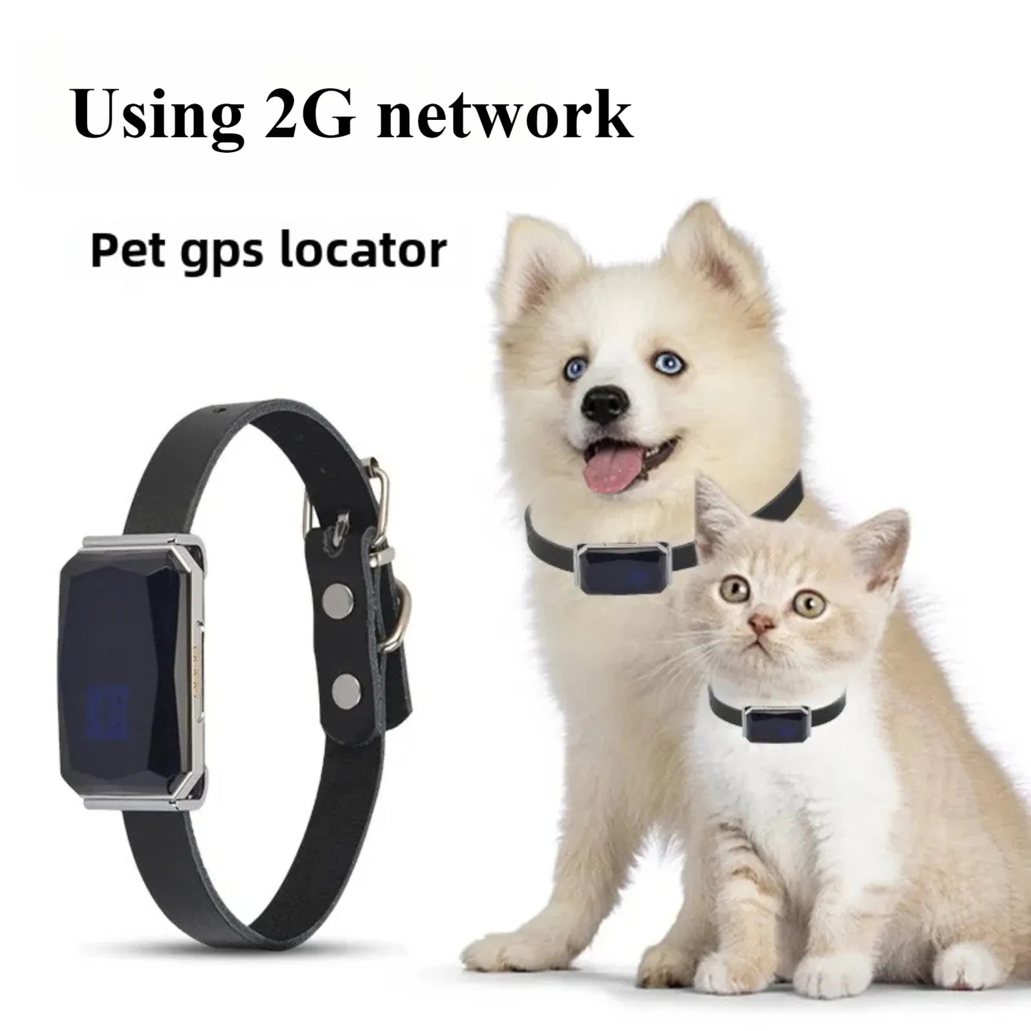Smart GPS Pet Tracker Collar en temps réel Suivi 5m Précision IP67 ALERTES GÉOFECTES DE 10 jours imperméables de 10 jours chiens Positionnement