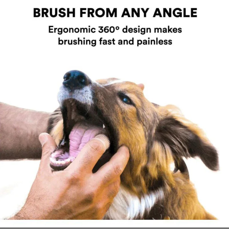 Chien super doux animal de compagnie brosse à dents de dents nettoyage de mauvaise halete