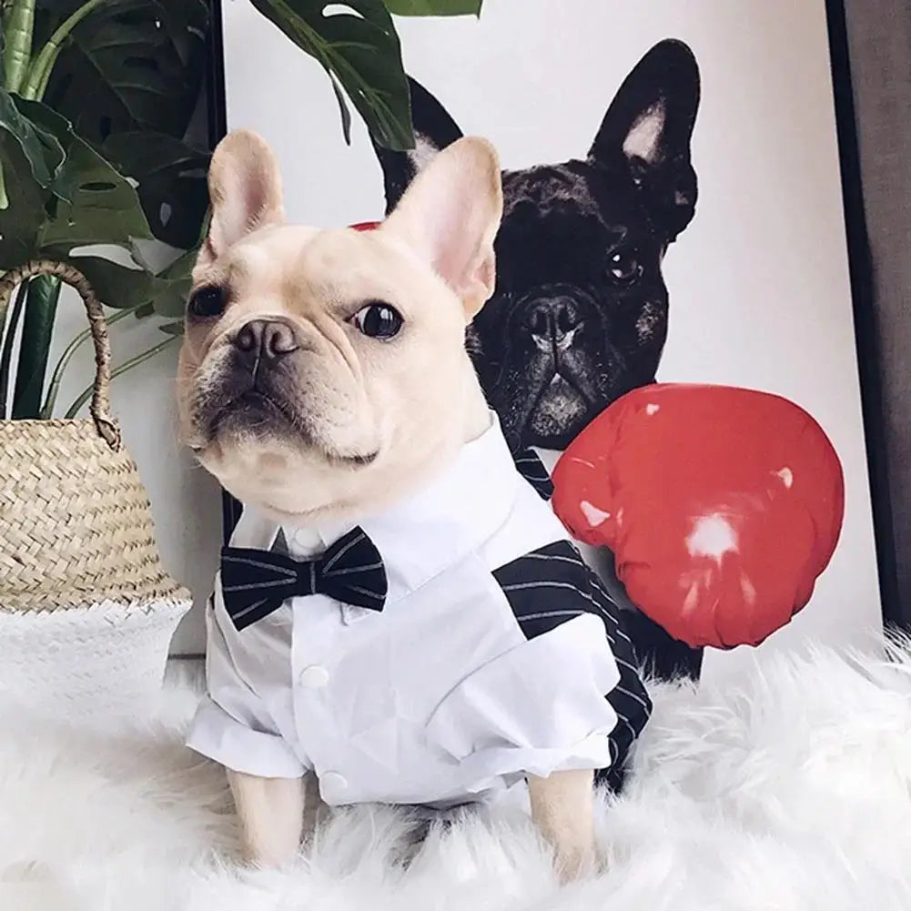 Mentleman de style anglais costume de chiot avec cravate pour les occasions formelles quatre saisons mariage pour animaux de compagnie photo en peluche