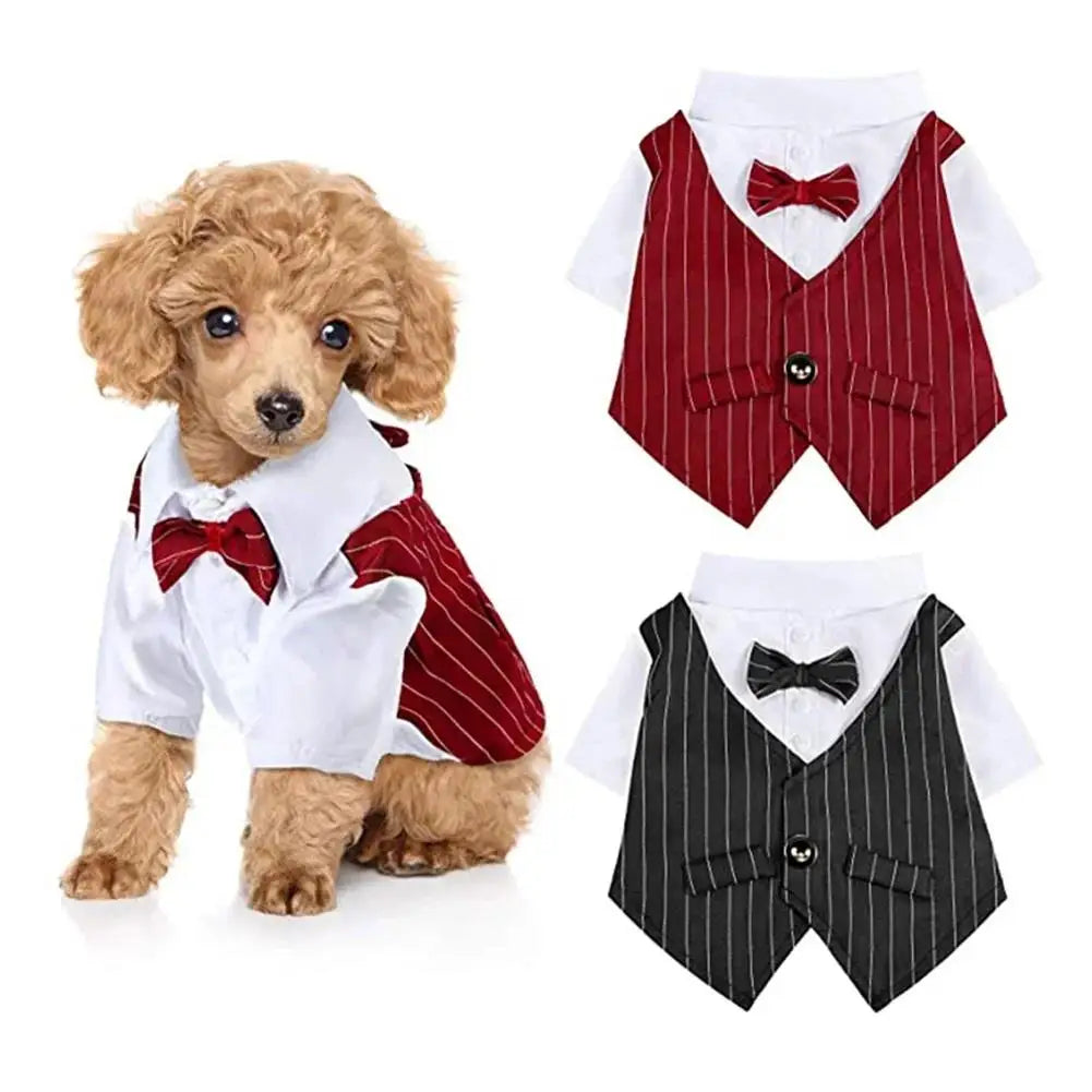 Mentleman de style anglais costume de chiot avec cravate pour les occasions formelles quatre saisons mariage pour animaux de compagnie photo en peluche
