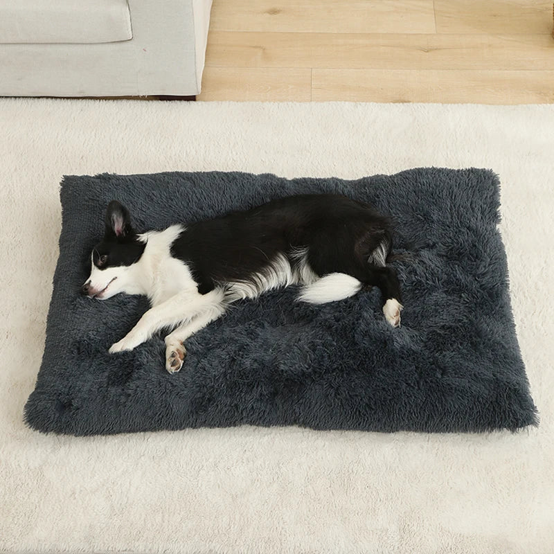 Lits de chien doux maison mous longue peluche meilleure lit de chien de compagnie pour chiens panier de panier de compagnie