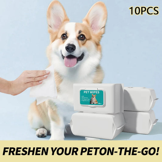 10pcs animaux lingettes Formule à eau pure jetable Chienne de soins pour animaux de compagnie et le nettoyage de la santé des chats désodorisant les lingettes à usage unique