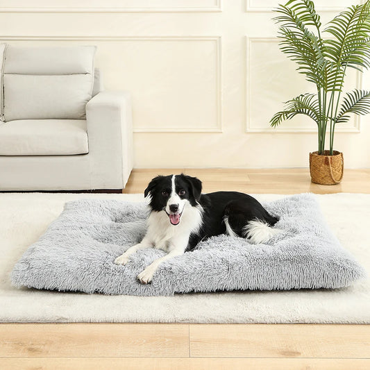 Lits de chien doux maison mous longue peluche meilleure lit de chien de compagnie pour chiens panier de panier de compagnie