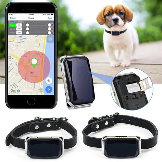 Smart GPS Pet Tracker Collar en temps réel Suivi 5m Précision IP67 ALERTES GÉOFECTES DE 10 jours imperméables de 10 jours chiens Positionnement