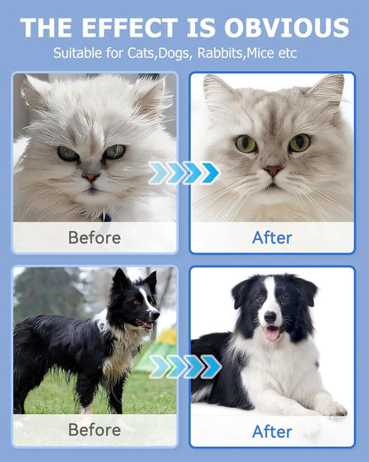 Glants de lingettes de nettoyage pour chien et chat, lingettes de baignade pour animaux