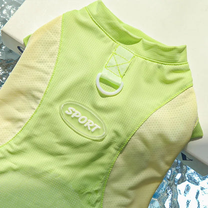 Refroidissement glace Silk Summer Chog Clothing Outdoor UV Protection Pet Cat Cat T-shirt Salles de sports secs rapides pour petit chiot moyen