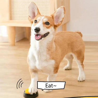 Boutons de communication de chien bouton d'enregistrement vocal pour le buzzer de formation des animaux