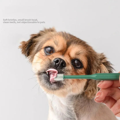 360 degrés Brosseuse à dents pour animaux Brussage de chat Ajout Bad halete tartre de dents CATER