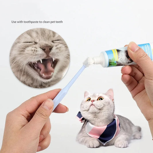 360 degrés Brosseuse à dents pour animaux Brussage de chat Ajout Bad halete tartre de dents CATER