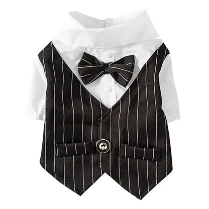 Mentleman de style anglais costume de chiot avec cravate pour les occasions formelles quatre saisons mariage pour animaux de compagnie photo en peluche