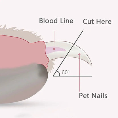 Clippers à ongles d'animaux de compagnie professionnels avec des ciseaux de toilettage à griffe de compagnie lége