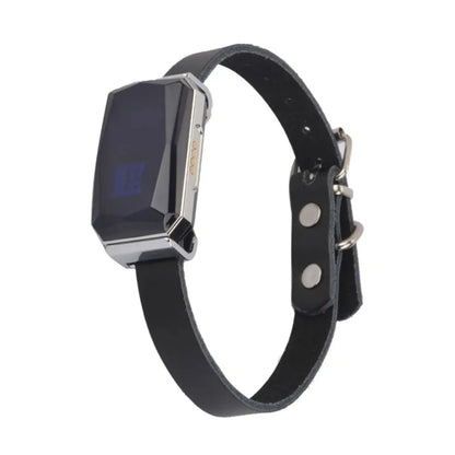 Smart GPS Pet Tracker Collar en temps réel Suivi 5m Précision IP67 ALERTES GÉOFECTES DE 10 jours imperméables de 10 jours chiens Positionnement