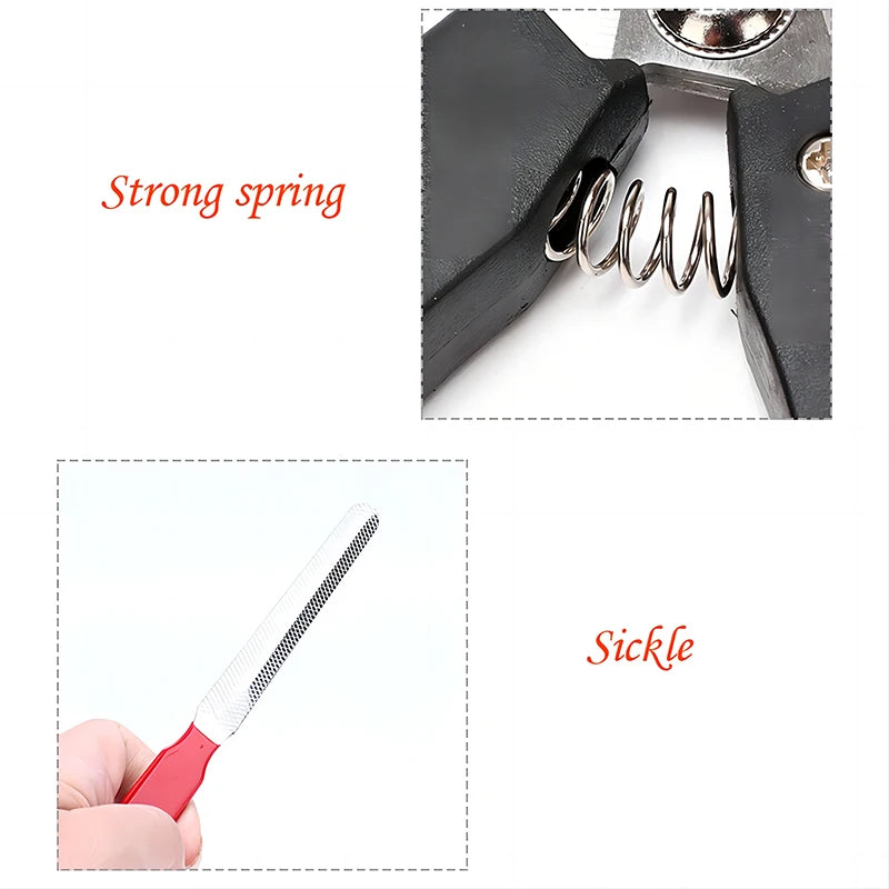 Petitesses à ongles avec faucille grande coupe-ongles pour chiens de nail