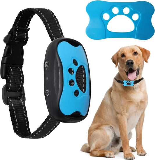 Pet Dog anti-aboiement USB Chiens rechargeables Collier de formation