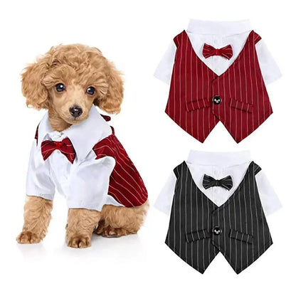 Mentleman de style anglais costume de chiot avec cravate pour les occasions formelles quatre saisons mariage pour animaux de compagnie photo en peluche