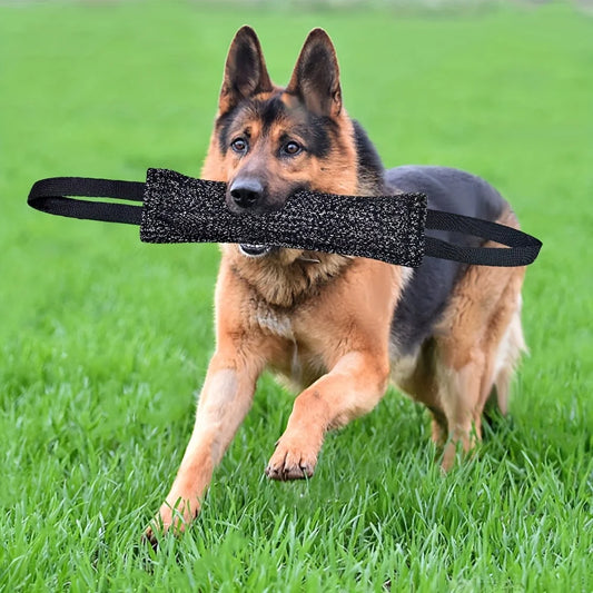 Entraînement pour chien bouchée bâton double manche de dents de jouets interactifs grincement de chien d'entraînement pour chien bâton de compagnie